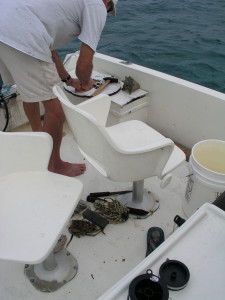 preparing bait for hand line fishing