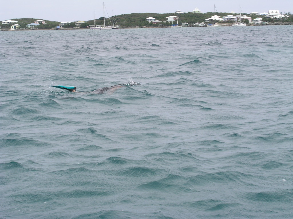 in the water after conch