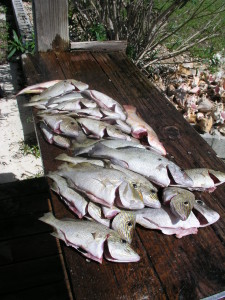 Hand line fishing in the Abacos 